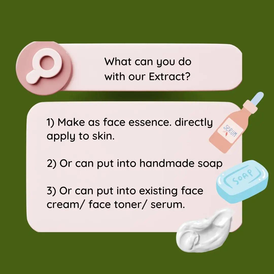 High Quality Soapberry Extract - Hair Care Essence ulasan dan harga