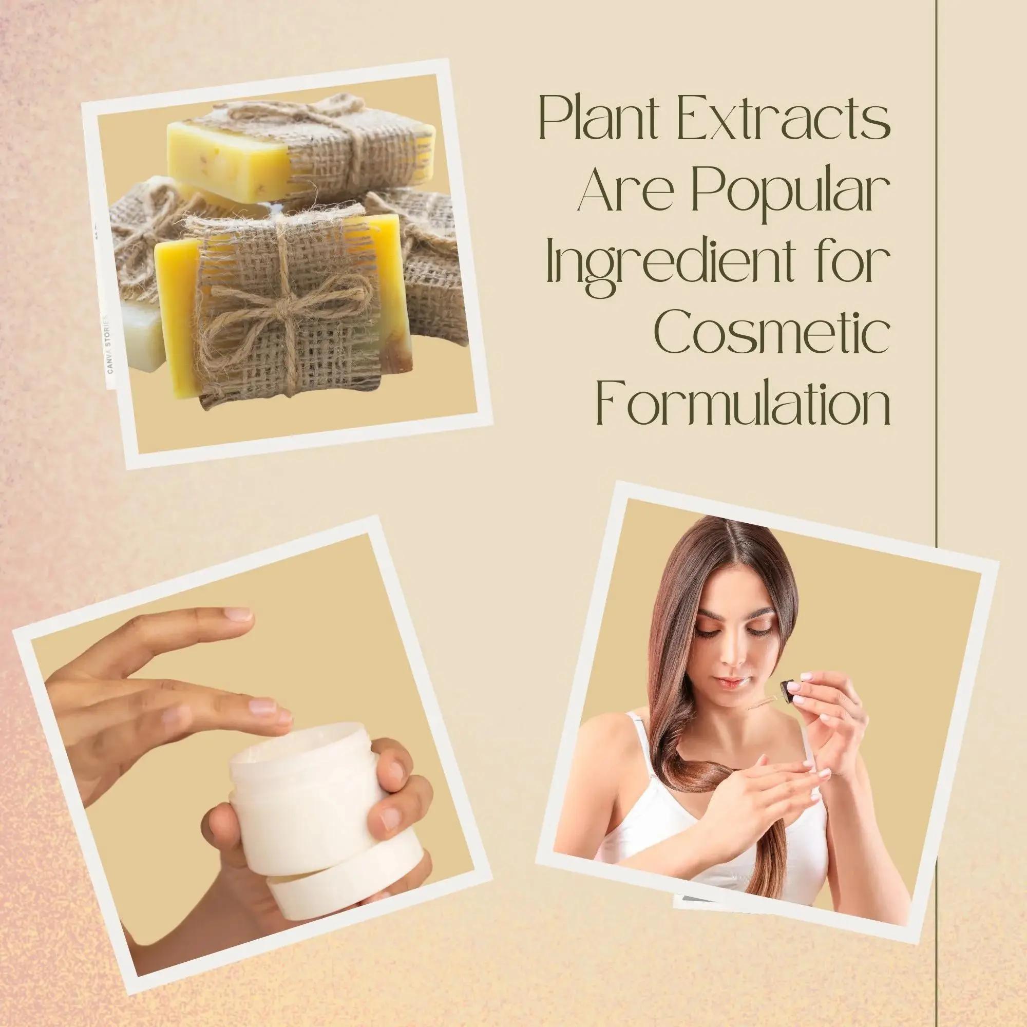 High Quality Soapberry Extract - Hair Care Essence ulasan dan harga